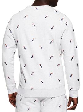 Superdry discount toucan sweatshirt