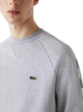 Sweat Lacoste SH1213 Gris pour Homme