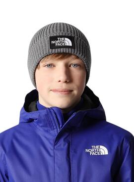 Chapeau The North Face Box Logo Gris