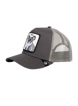 Casquette Goorin Bros The Koala Baseball Gris