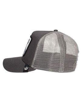 Casquette Goorin Bros The Koala Baseball Gris
