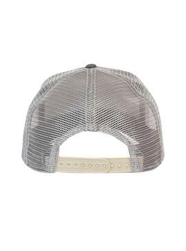 Casquette Goorin Bros The Koala Baseball Gris