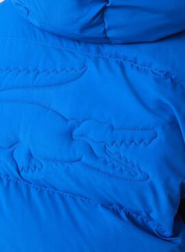 Veste Lacoste Rembourré pour Homme Bleu