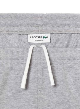 Bermuda Sweat Lacoste Gris pour Homme