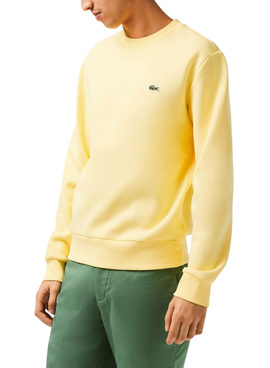Sweat Lacoste Basic Jaune pour Homme