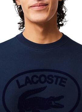 Sweat Lacoste Relaxed Fit Bleu Marine pour Homme