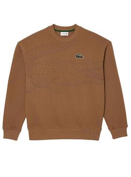 Sweat Lacoste Jogger Loose Fit Brun Homme
