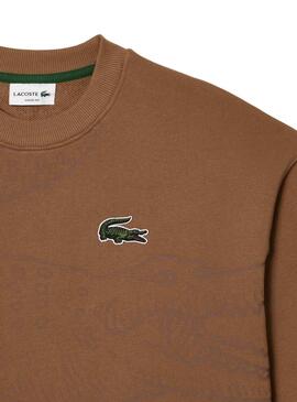 Sweat Lacoste Jogger Loose Fit Brun Homme
