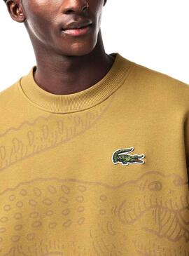 Sweat Lacoste Jogger Loose Fit Brun Homme
