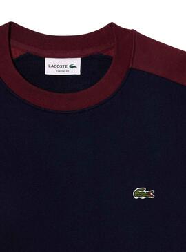 Sweat Lacoste Jogger Felpa Bleu Marine Homme