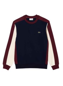 Sweat Lacoste Jogger Felpa Bleu Marine Homme