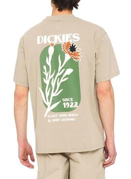 Maillot Dickies Herndon Beige pour Homme