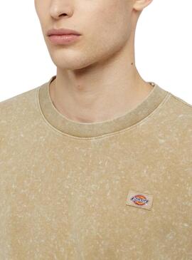 T-shirt Dickies Newington Tee Beige Pour Homme