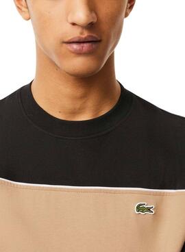 T-shirt Lacoste Band noir et beige pour homme