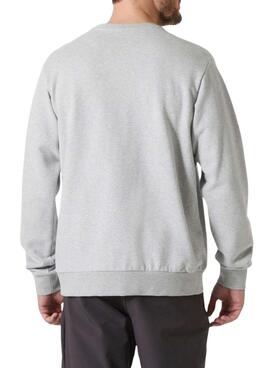 Sweat à capuche Helly Hansen HH Logo gris pour homme