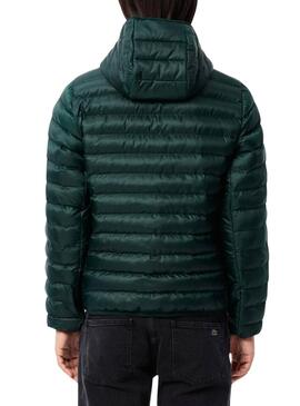 Veste Acolchée Lacoste Basic Vert pour homme