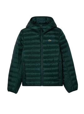 Veste Acolchée Lacoste Basic Vert pour homme