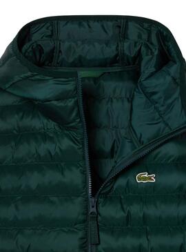 Veste Acolchée Lacoste Basic Vert pour homme