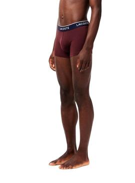 Boxers Lacoste Boxer Bourgogne, Rose et Bleu pour homme