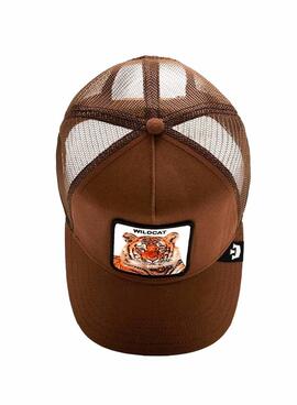 Casquette Goorin Bros The Wildcat Tiger Marron