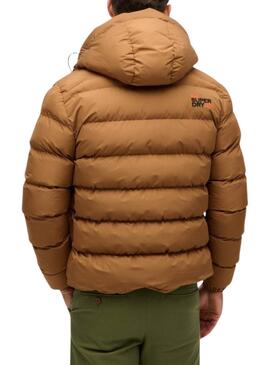 Doudoune à Capuche Superdry Marron pour homme