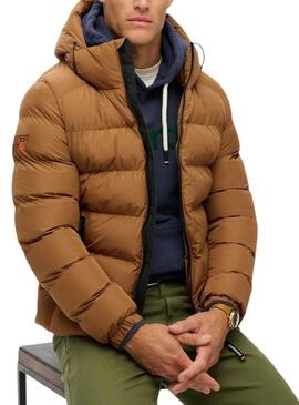 Doudoune à Capuche Superdry Marron pour homme