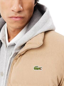 Veste Lacoste Velours Beige pour hommes