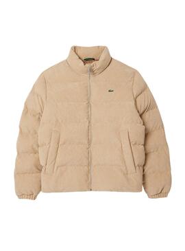 Veste Lacoste Velours Beige pour hommes