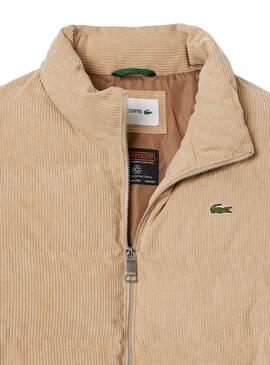 Veste Lacoste Velours Beige pour hommes