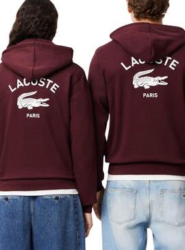 Sweatshirt Paris Lacoste bordeaux pour homme et femme