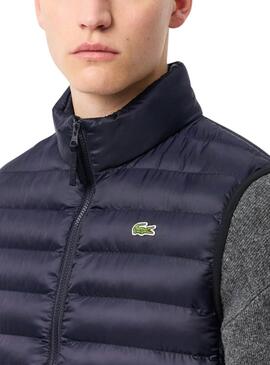 Gilet Lacoste Matelassé Marine pour hommes