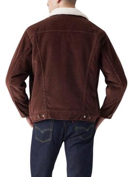 Veste Trucker Levis Sherpa Velours Marron pour hommes