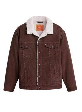 Veste Trucker Levis Sherpa Velours Marron pour hommes