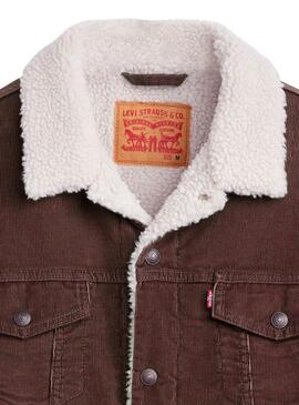 Veste Trucker Levis Sherpa Velours Marron pour hommes