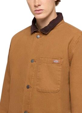 Veste Dickies Duck High Marron pour homme