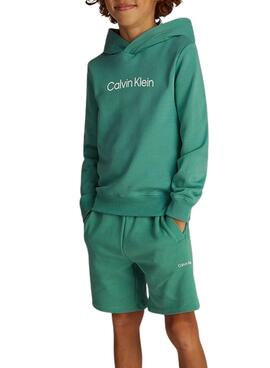 Sweat à capuche Calvin Klein Institutional Logo vert