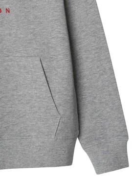 Sweat Pepe Jeans Art Hoodie gris pour enfant