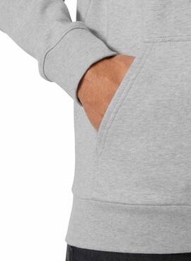 Sweat à capuche Helly Hansen Core Graphic gris pour homme