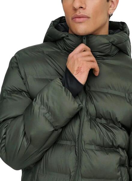 Gallery m174156 7czce974