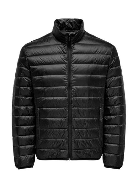 Gallery m176013 ov4zanjr