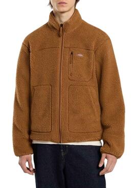 Polar Dickies Mount Hope camel pour homme