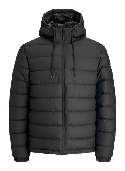 Gallery m174087 mdj0p50h