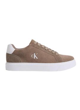 Chaussures Calvin Klein Jeans Classic Cupsole marron pour homme