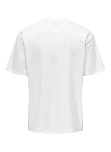 Gallery m176985 pukbcgyx