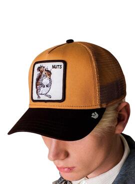 Casquette Goorin Bros Nuts marron et beige pour homme