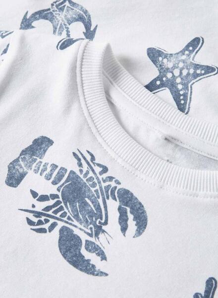 Gallery k179550 w3zo8qcu