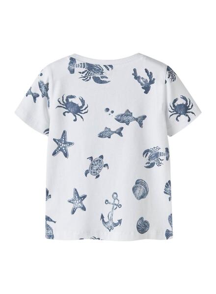 Gallery k179550 cdwqmn14