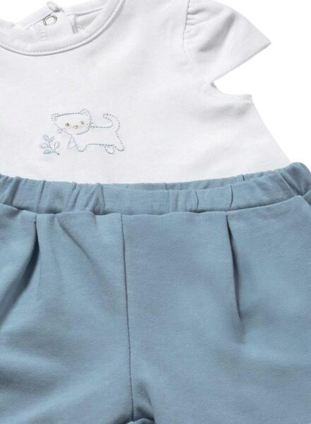 Gallery k179165 imivnwjt