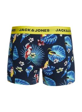 Pack Boxers Jack and Jones Flower Bird pour homme