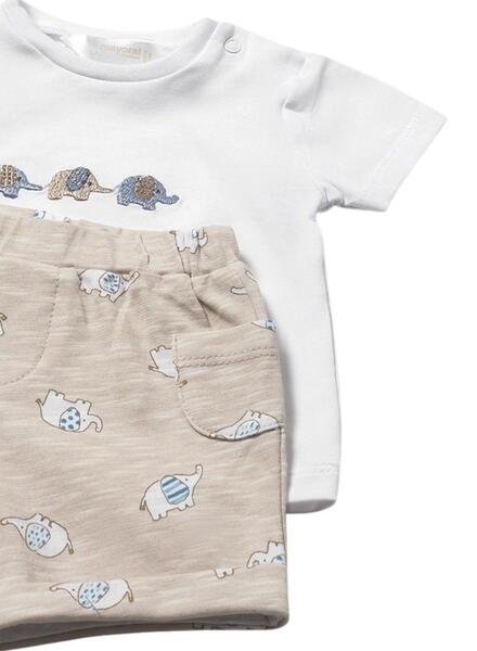 Gallery k179094 pnmopgzv